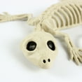 thumbnail image 6 of kjfeif Halloween Skeleton Geckos Prop Animal Bones Party Shop Decoration for Indoor Outdoor Halloween Decorations Party Props, Yard Patio Lawn Garden Props Decor, 6 of 8
