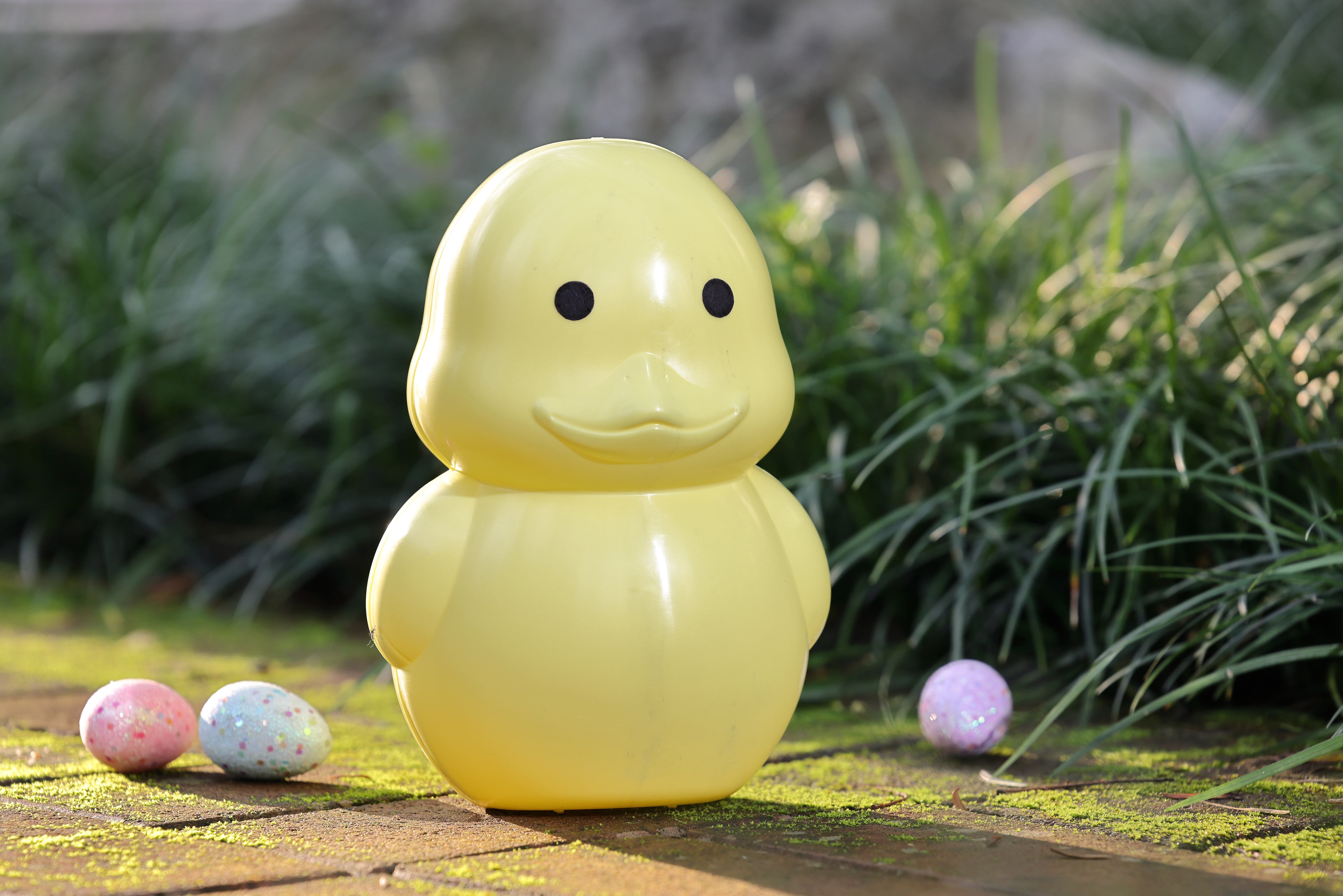 9`` DUCK CONTAINER