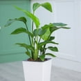 thumbnail image 3 of Brick Pattern Flowerpot Imitation Metal Plastic Flower Pot Square And Tall Type For Gardening Potted Plants New, 3 of 4