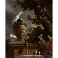 thumbnail image 2 of d''Hondecoeter, Melchior 15x17 Gold Ornate Wood Framed with Double Matting Museum Art Print Titled - De Menagerie, 2 of 4