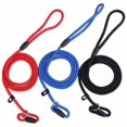 thumbnail image 1 of 3Pack Nylon Dog Slip Lead, Adjustable Loop Training Dog Leash, Dog Training Lead, Pet Leash Rope Collar Slip Lead for Small and Medium Dog (Blue,red,Black), 1 of 8