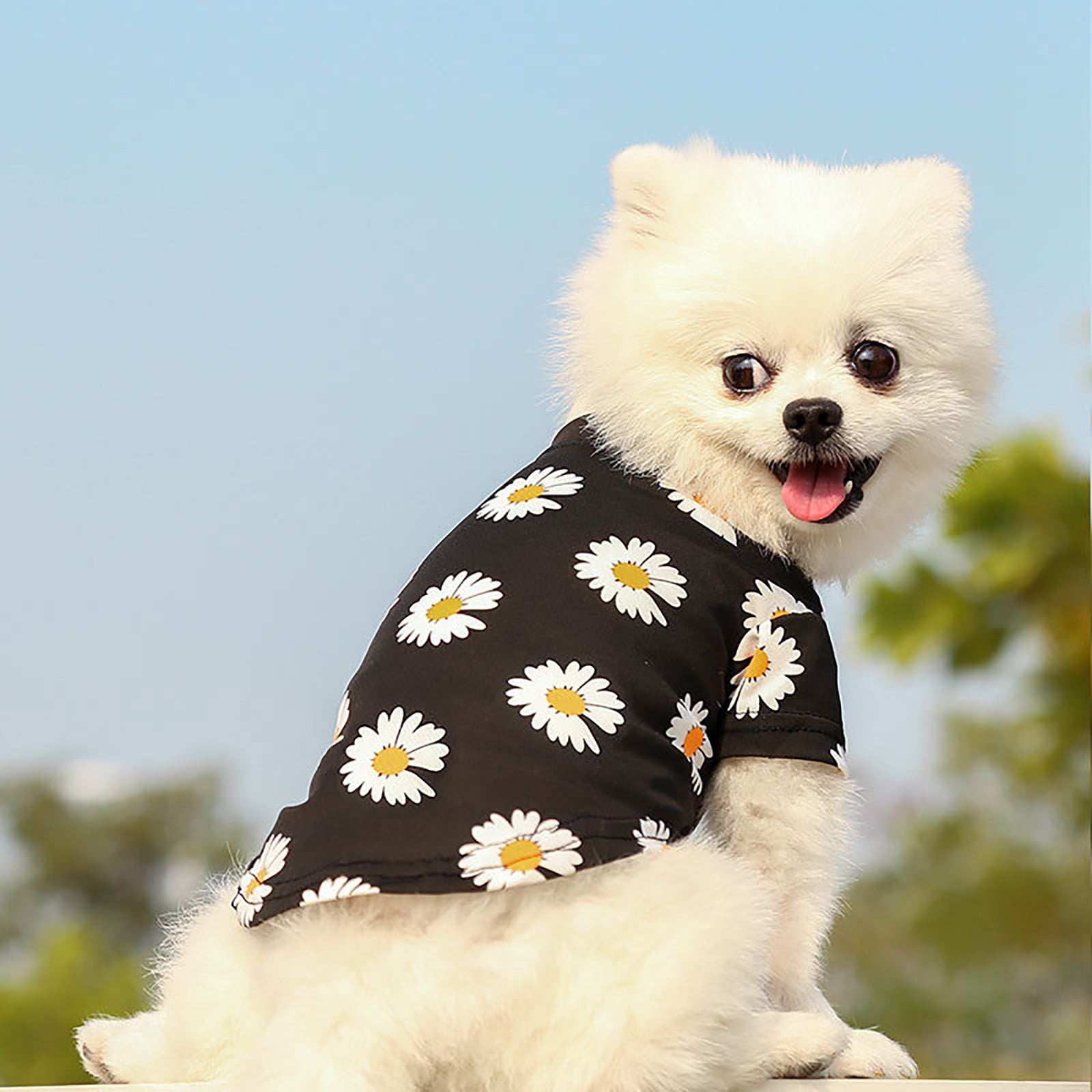NEW with Tags Multiple sizes Rugged Horse Ladies Daisy Polo Shirts 