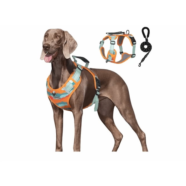 Pechera Arnés De Seguridad Para Perro Chico Mediano Y Grande Xtellar naranja