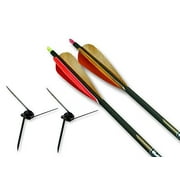 Magnus Bullhead kit/2-100 grain/2- .300 arrows