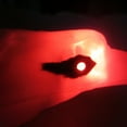 thumbnail image 5 of CNKOO Aigle Volant Électronique Modèle d'Oiseau avec Son LED Jouet pour Enfants Cadeau, 5 of 5