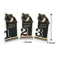 thumbnail image 4 of Trophy Award - CUSTOM - Pickleball - 1st 2nd 3rd Place - 9x5 Inches, 4 of 13