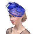 thumbnail image 1 of Guardurnaity Elegante tocado de malla para mujer para el día de la boda. Tocado elegante de sinamay. Accesorio para el cabello, 1 of 6