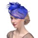 thumbnail image 1 of Guardurnaity Tocado de malla elegante para mujer, tocado para el día de la boda, tocado de Sinamay elegante Accesorio para el cabello, 1 of 6
