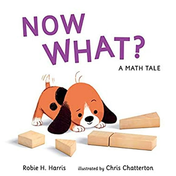 Pre-Owned Now What? A Math Tale 9780763678289