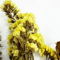 thumbnail image 6 of Bergamo Art 20 Inch High Real Preserved Mixed Bouquets Mix 1 in Large, 6 of 10
