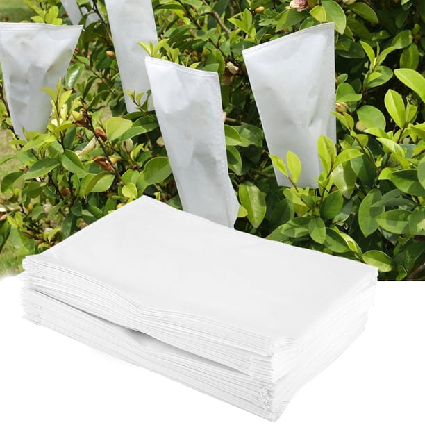 Bolsa Protectora Polinización Plantas, Pergamino, 100 Uds. Bolsas De Pergamino De Polinización De Jardín Bolsas Protectoras De Aislamiento Para Flores De Plantas 16x10cm YLSHRF Parchment Bag