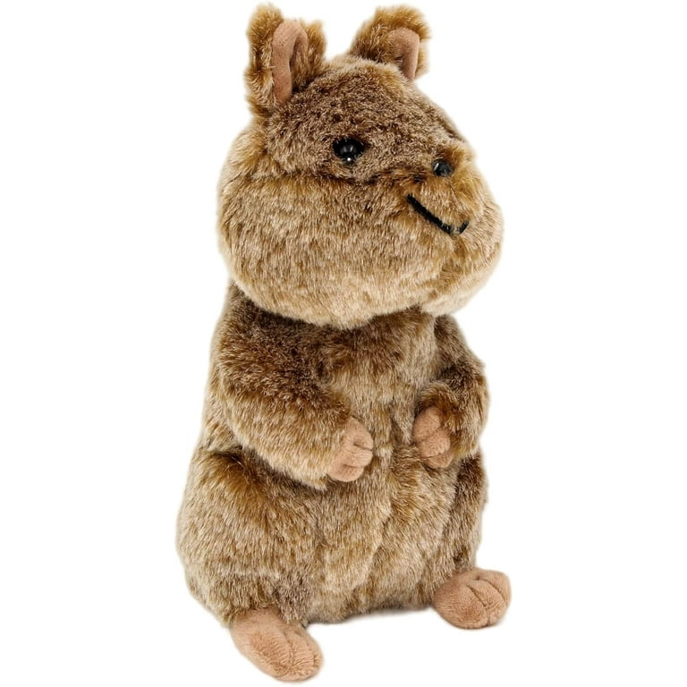 Quokka plush online