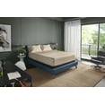 thumbnail image 3 of Tempur-Pedic Tempur Luxe Egyptian Cotton Sheet Set Sandstone - Twin, Adult, 3 of 9
