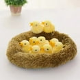 thumbnail image 2 of Puede llorar, emitir luz, gallinero, incubar muñecos de pollo, gallinas viejas, juguetes de peluche, pollitos, pollitos de juguete, pollitos bebés, 2 of 9