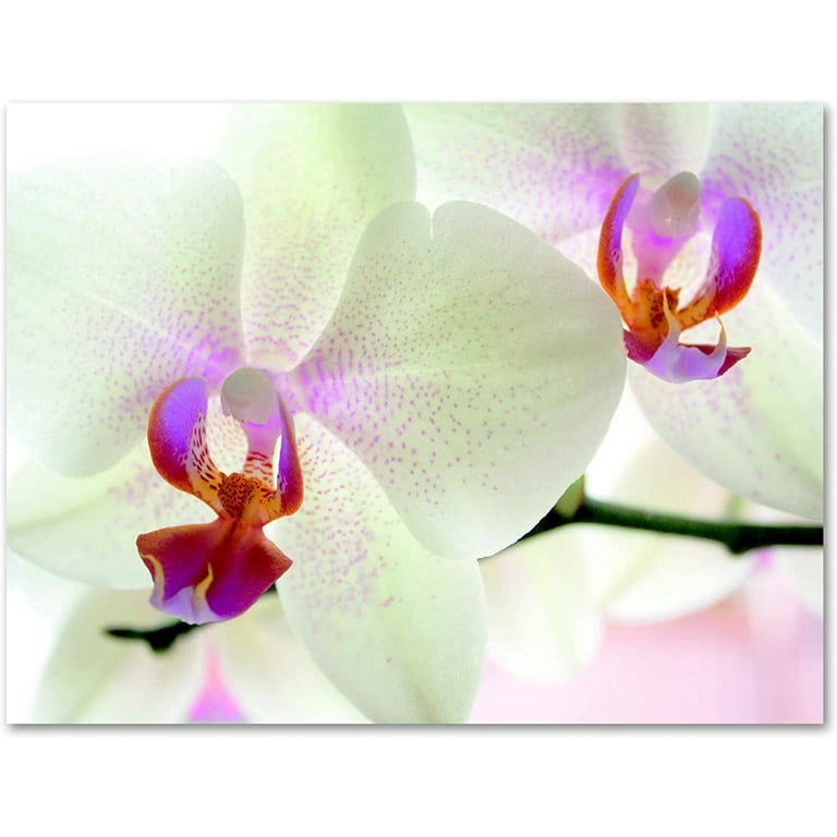 Colorful Flowers Note Cards. Small Blank Cards. Small Greeting