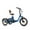 Blue, variant on Addmotor Electric Trike for Adults, 750W, Folding Electric Tricycle, 48V 20Ah, 90MI, 380lbs, 3 Wheel Electric Bikes, Step Through Etrike, Parking Brake, Rear Motor & Differential, E-310 Blue