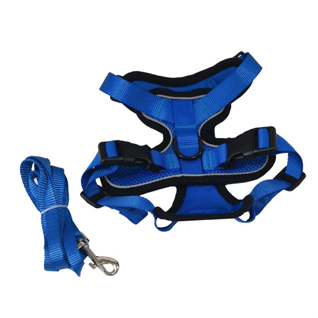 Juego de Arnés y correa para gatos Colco Arnés suave reflectante Azul XS