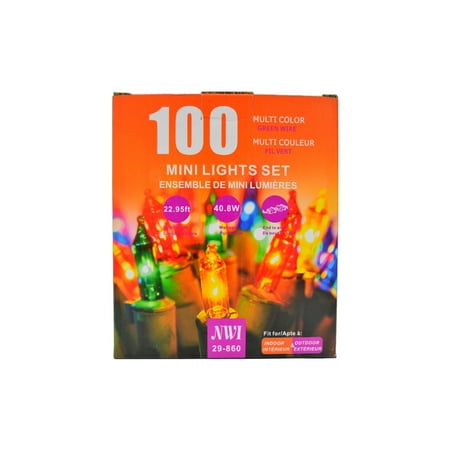

IH Casa Decor 100 Lt Indoor/Outdoor Mini Light Set (Multi Bulbs) - Set of 2