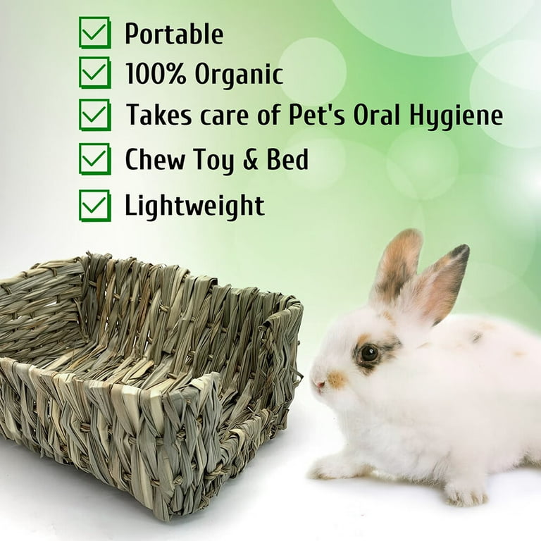 Bunny supplies walmart clearance
