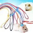 thumbnail image 2 of Visland Small Pet Hamster Rabbit Adjustable Traction Rope Walking Collar Leash, 2 of 3