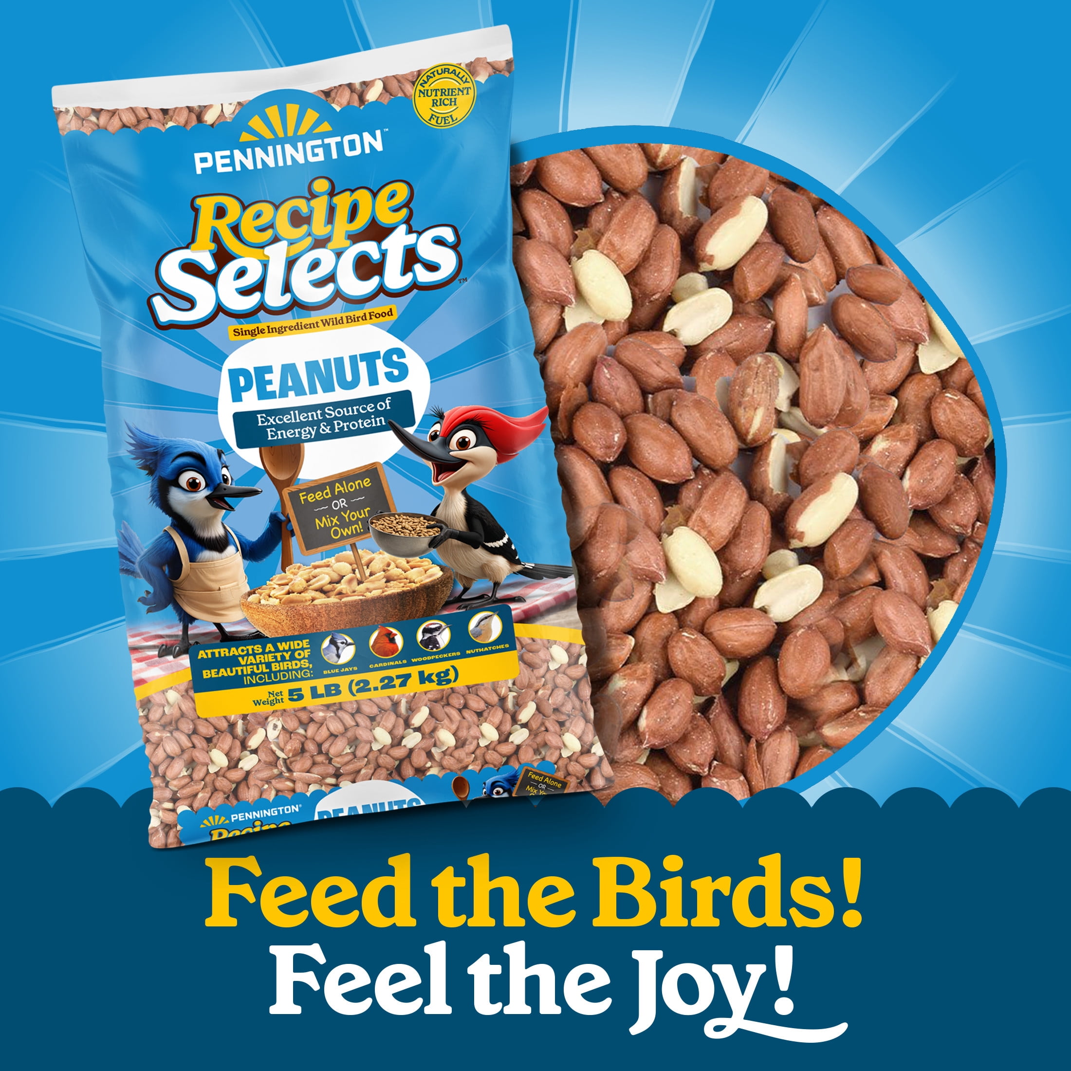 Pennington Recipe Selects Shelled Peanuts for Birds and Wildlife, Wild Bird Food, 5 lb Bag, 1 Pack, Dry