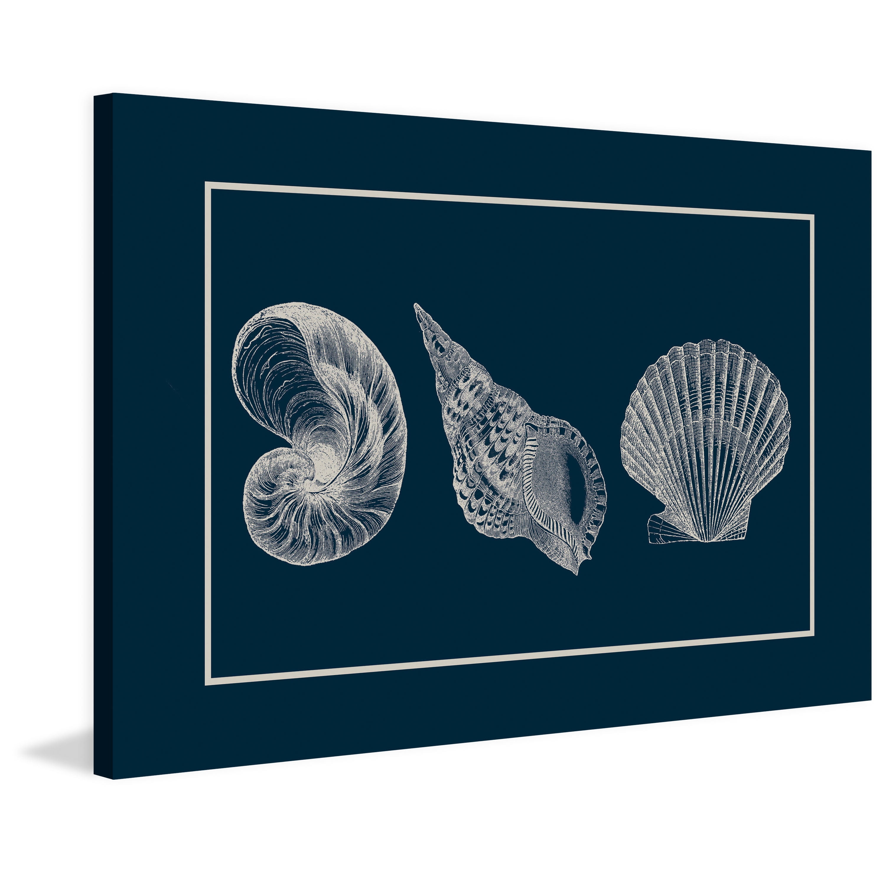 "Shells" Painting Print on Wrapped Canvas