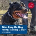 thumbnail image 2 of Collar de entrenamiento Coastal Pet Titan Easy-On con hebilla de 3,3 mm, 2 of 7