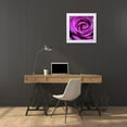 thumbnail image 3 of PhotoINC Studio 26x26 White Modern Wood Framed Museum Art Print Titled - Purple Rose, 3 of 4