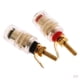 thumbnail image 1 of 8 Unidades Mini Amplificador Terminal Binding Post 4mm Banana Plug Enchufe Conector, 1 of 6