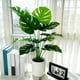 thumbnail image 1 of Monstera Deliciosa De Plástico Planta artificial Monstera con forma de tortuga en maceta verde, 12 hojas, planta artificial en maceta para decoración del hogar y la oficina (1 pieza). Rkxzt, 1 of 7