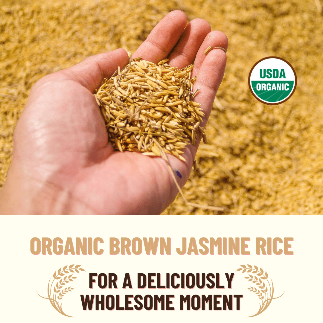 Rice, Jasmine Brown  25LB BAG, USDA Certified Organic & GMO Free, Sustainable Farming Practices-Mountain High Organics