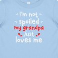 thumbnail image 4 of Inktastic I'm Not Spoiled My Grandpa Just Loves Me Boys or Girls Baby T-Shirt, 4 of 5