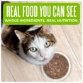 thumbnail image 2 of Tiki Cat Born Carnivore Wet Cat Food, Tuna & Pollock Recipe in Broth, 2.4 oz. Can, 2 of 9