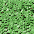 thumbnail image 4 of Valla de plástico de simulación Valla de patio Valla de simulación Muro de plantas Valla de hojas verdes para jardín al aire libre, 4 of 5