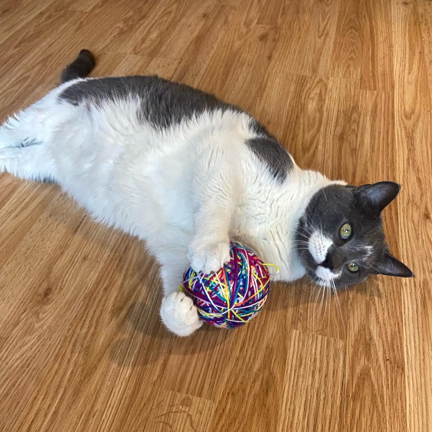 SPOT Sew Much Fun Foam & Yarn Ball Cat Toy with Rattle, No-Unravel Design, 3.5 inch, 1 Count