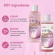 thumbnail image 5 of Onion Biotin Rosemary Shampoo & Conditioner Set, Hair Growth Treatment Damaged Hair Repair for All Hair Types, 5 of 5