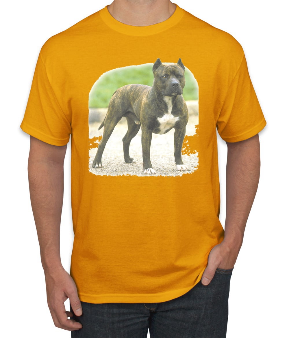 Wild Bobby - Wild Bobby, Pitbull Dog 