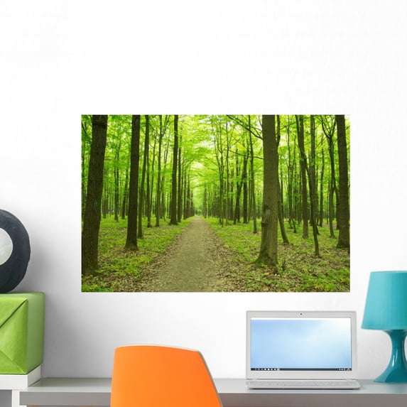 Forest Green Wall Mural by Wallmonkeys Peel and Stick Graphic (24 in W x 16 in H) WM162526