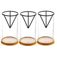 thumbnail image 1 of 3 Pack Avocado Tree Growing Kits, Glass Avocado Seed Vase, 1 of 5
