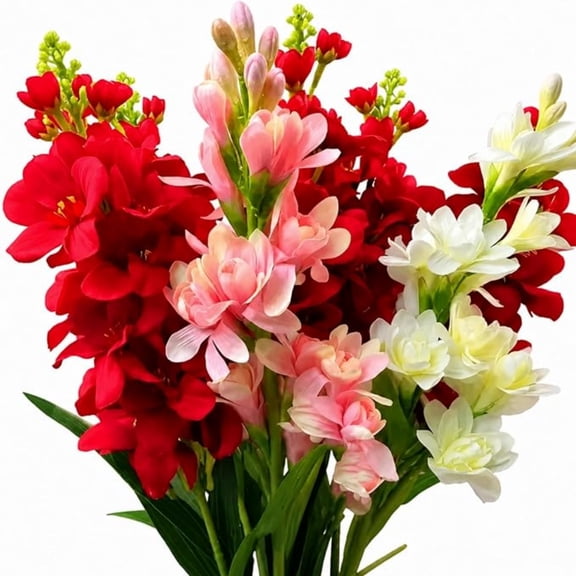 Resistant-Tuberose, Low Maintenance - Easy Grow - Ideal for Beds Borders, Plant Pots & Planters