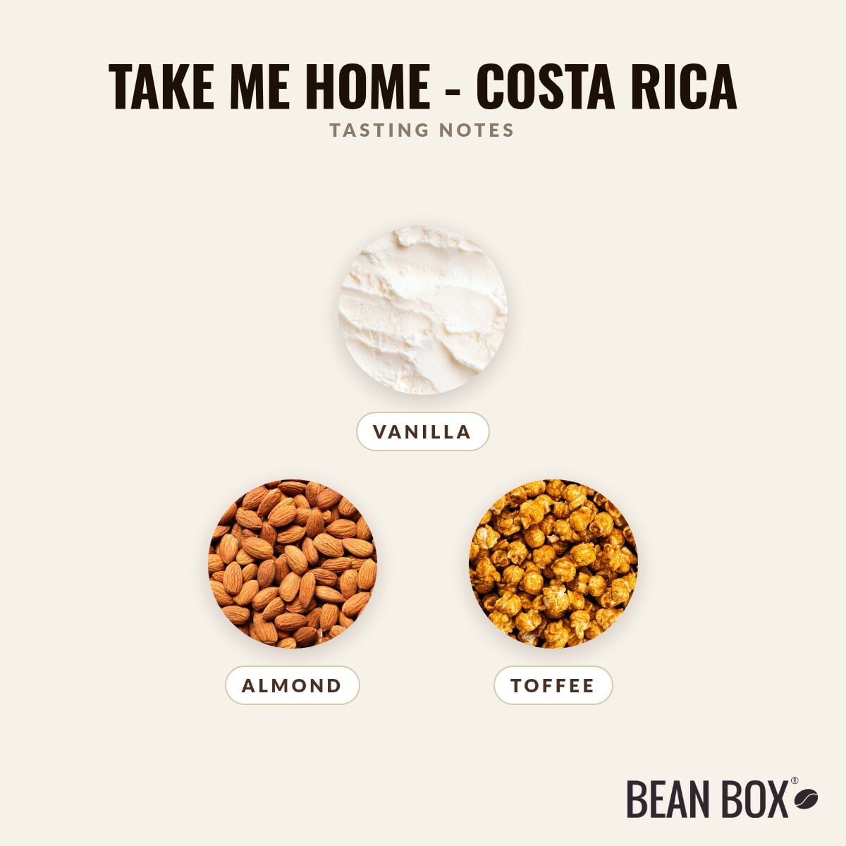 Take Me Home - Costa Rica - Roasted by Greater Goods Coffee Co. - Whole Bean Coffee - 10oz Bag