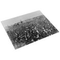 thumbnail image 3 of Print: Cotton Field With Building In Background, 1922, 3 of 4