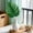 Khaki, variant on Clearance Under $3 Artificial Monstera Leaf Large Monstera Stem For Tropical Office Corner,Polyester Fiber Gray (1Pc)