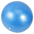 thumbnail image 1 of OUNONA 4pcs Softball Training Blue PVC Flexibility Improvement Training Ball Baseball Supplies, 1 of 6