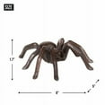 thumbnail image 4 of CAST IRON SPIDER PAPERWEIGHT, 4 of 4