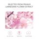 thumbnail image 2 of Protector solar New Cover Hidrating SPF 50 Japanese Sakura 60 ml x 2, 2 of 7