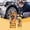 Multicolor, variant on Professional Windscreen Scratch Remover, Quick Effect Windshield Repair, Fast Auto Glass Polish Solution for Car or Truck Windows