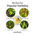thumbnail image 2 of Gardenera Labs Sphagnum Moss Potting Mix for Carnivorous Plants, Moss and Perlite Blend for Potting Venus Fly Traps, Sarracenia, Pitcher Plants - 75% Sphagnum Moss + 25% Perlite - 2 Quart, 2 of 9