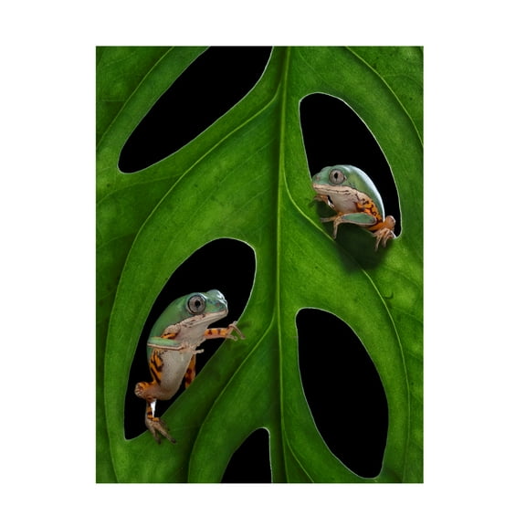 Trademark Fine Art Tantoyensen Hang out Canvas Wall Art