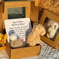 thumbnail image 4 of SharkTRUE Little Bear in Box, Handmade Mini Plush Teddy Bear in Box, My Little Worry Bears, with Inspirational Card, Soft Handmade Teddy Keepsake for Lovers, 4 of 8